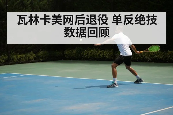 瓦林卡美网后退役 单反绝技数据回顾